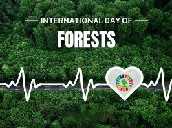 International day of forest